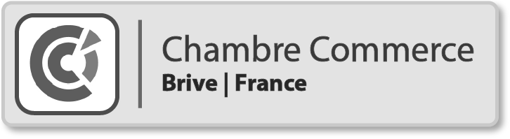 Nine Yards Counsel brand partner project featuring comprehensive digital solutions and brand strategy