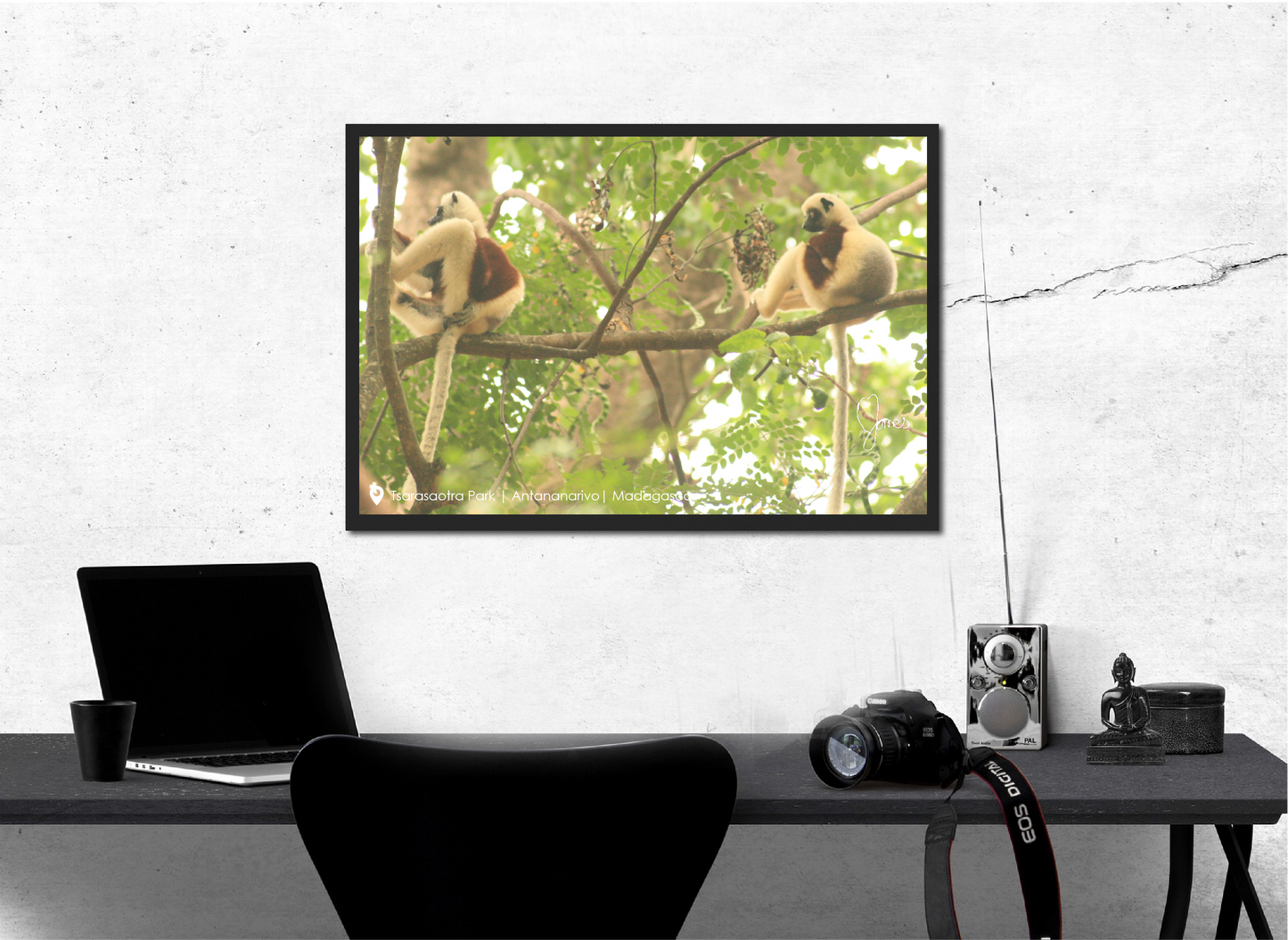Photographic print by Nine Yards Counsel Digital Agency Team, illustrating creative digital project management.