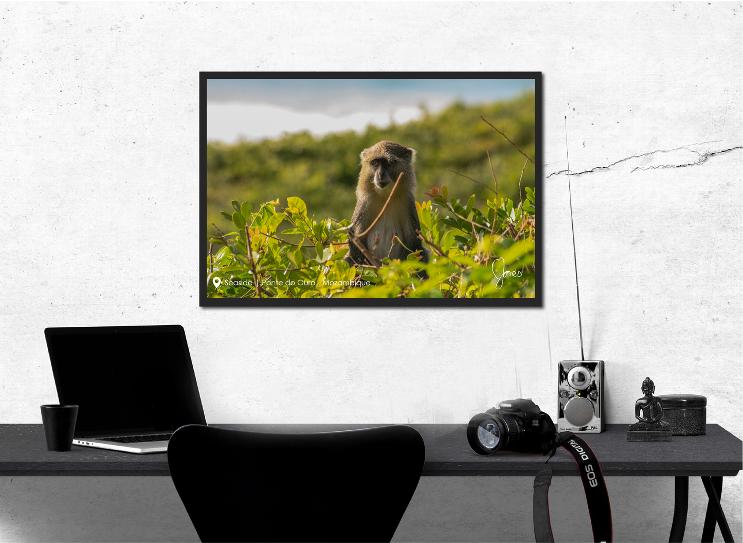 Photographic print by Nine Yards Counsel Digital Agency Team, showcasing advanced digital product marketing.