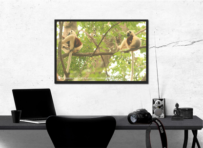 Photographic print by Nine Yards Counsel Digital Agency Team, illustrating creative digital project management.