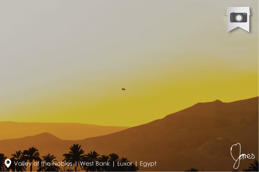 Photographic print by Nine Yards Counsel Digital Agency Team, showcasing creative digital brand storytelling.