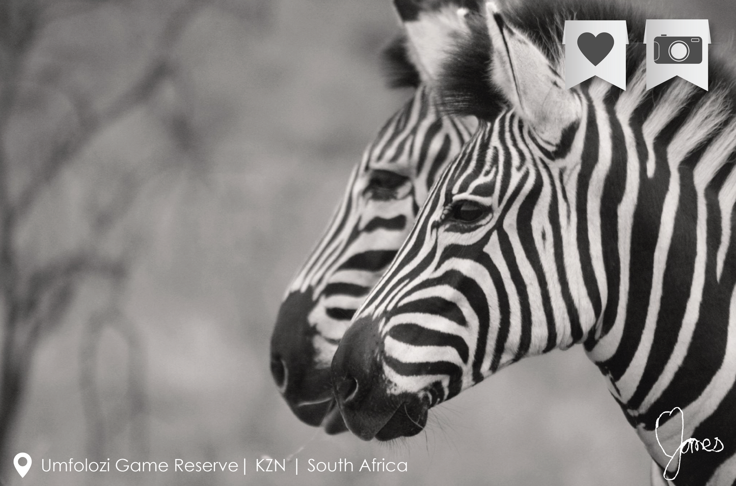 Photographic print by Nine Yards Counsel Digital Agency Team, highlighting effective digital media campaigns.