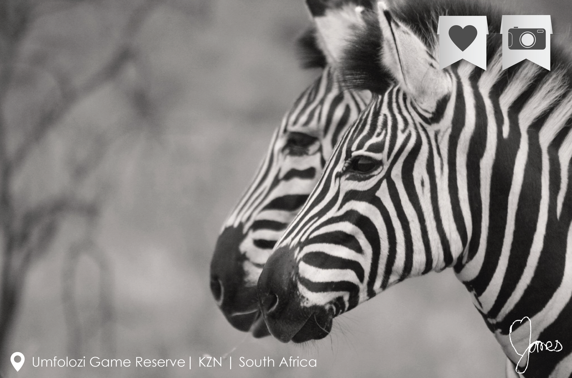 Photographic print by Nine Yards Counsel Digital Agency Team, highlighting effective digital media campaigns.