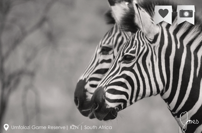 Photographic print by Nine Yards Counsel Digital Agency Team, highlighting effective digital media campaigns.