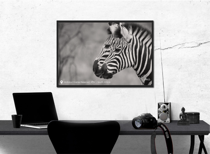 Photographic print by Nine Yards Counsel Digital Agency Team, presenting innovative digital content delivery.