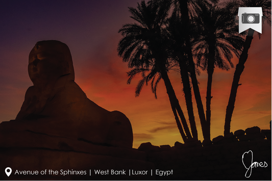 Photographic print by Nine Yards Counsel Digital Agency Team, highlighting impactful social media marketing tactics.